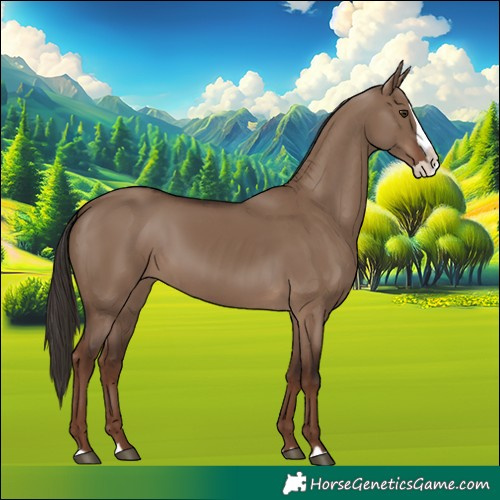 Horse Color:Liver Red Dun Splash 