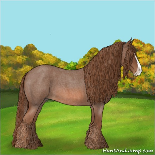 Horse Color:Red Roan Splash 