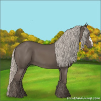 Horse Color:Silver Black 