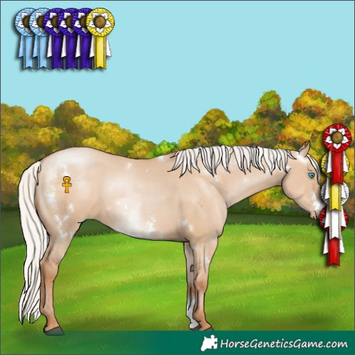 Horse Color:White Spotted Silver Grullo Pearl Sabino Rabicano