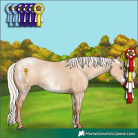 Horse Color:White Spotted Silver Grullo Pearl Sabino Rabicano 