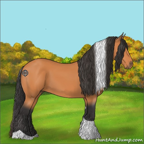 Horse Color:Bay Tobiano