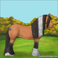 Horse Color:Bay Tobiano 