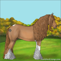 Horse Color:Red Roan Tobiano 