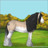 Horse Color:Bay Dun Splash 