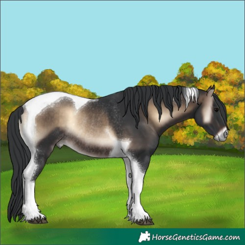 Horse Color:Brown Onyx Tobiano Rabicano 
