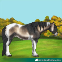 Horse Color:Brown Onyx Tobiano Rabicano 
