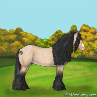 Horse Color:Bay Roan Dun Splash 