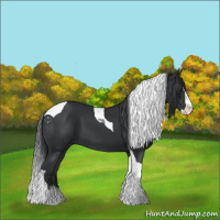 Horse Color:Black Splash Tobiano 