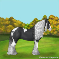 Horse Color:Black Splash Tobiano 