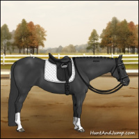 Horse Color:Black Tobiano 