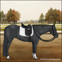 Horse Color:Black Tobiano 