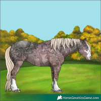 Horse Color:Perlino Ice 