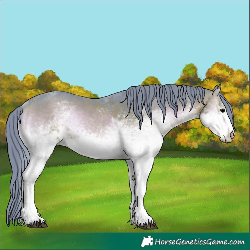Horse Color:Watercolor White Spotted Brown Onyx Rabicano 
