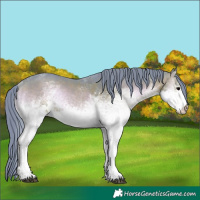 Horse Color:Watercolor White Spotted Brown Onyx Rabicano 