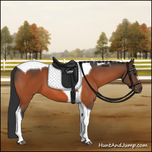 Horse Color:Brown Tobiano