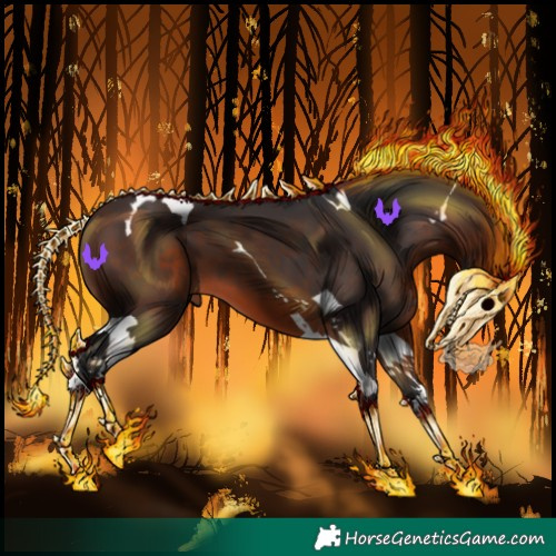 Horse Color:Brown Tobiano 