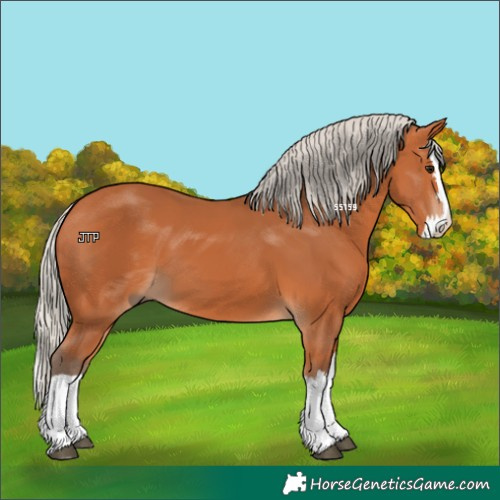 Horse Color:Silver Bay Splash 