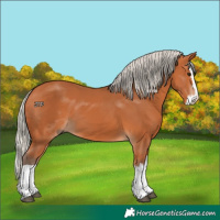 Horse Color:Silver Bay Splash