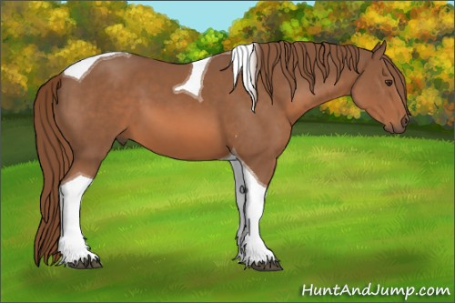 Horse Color:Chestnut Tobiano 