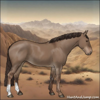 Horse Color:Liver Red Dun 