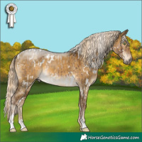 Horse Color:White Spotted Liver Red Dun Mushroom Brindle  and White Spotted Chocolate Palomino Dun Mushroom 