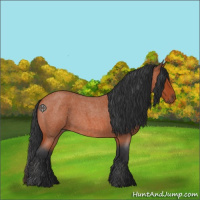 Horse Color:Bay Roan