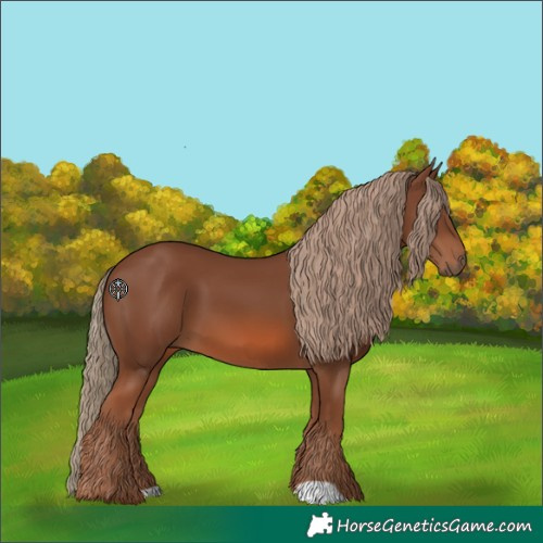 Horse Color:Chestnut 