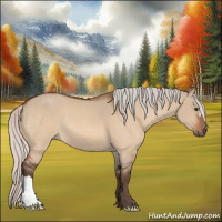 Horse Color:Silver Bay Dun 