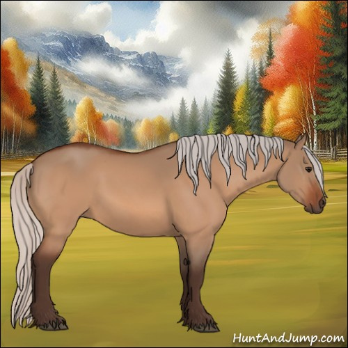 Horse Color:Silver Bay Dun 