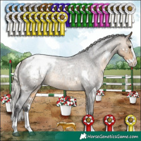 Horse Color:White Spotted Silver Buckskin Roan Splash Snowcap 