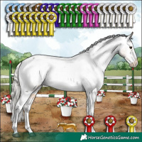 Horse Color:White Spotted Silver Buckskin Roan Splash Appaloosa