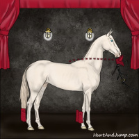 Horse Color:Perlino 