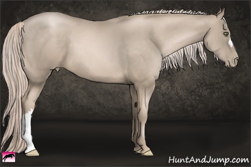 Horse Color:Chocolate Palomino Pearl