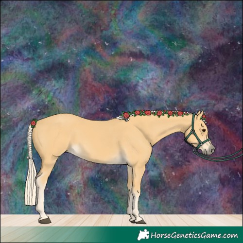 Horse Color:Palomino 