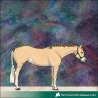 Horse Color:Palomino 