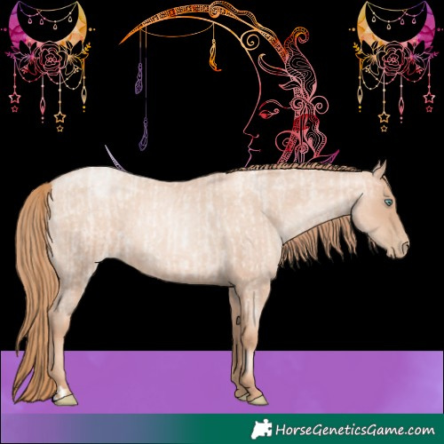 Horse Color:Gold Champagne Roan Pearl Rabicano  and Gold Champagne Roan Pearl Rabicano 