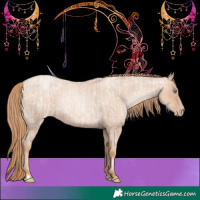 Horse Color:Gold Champagne Roan Pearl Rabicano  and Gold Champagne Roan Pearl Rabicano 