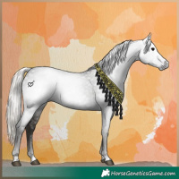 Horse Color:Gray Silver Black 