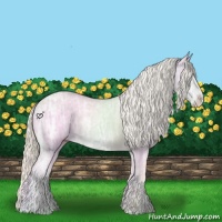 Horse Color:Cremello Ice Dun