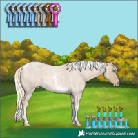 Horse Color:Cremello Roan Tobiano 