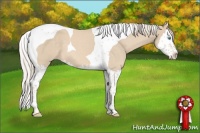Horse Color:Cremello Roan Splash Tobiano