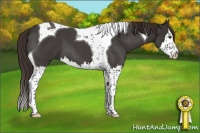 Horse Color:Liver Red Roan Splash Tobiano 