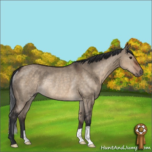 Horse Color:Brown Dun Rabicano 