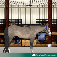 Horse Color:Brown Dun Sabino Rabicano