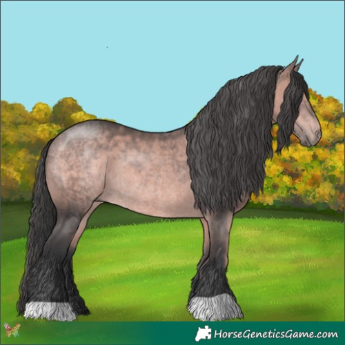 Horse Color:Platinum Bay