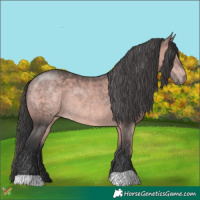 Horse Color:Platinum Bay 