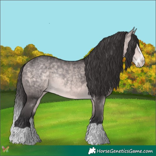 Horse Color:Platinum Buckskin Splash 