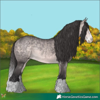 Horse Color:Platinum Buckskin Splash 
