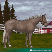 Horse Color:Silver Black 